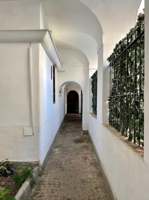 Lovely In Via Della Scala, Trastevere Appartamento Roma